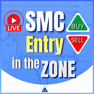 Entry In The Zone — Indicator product cover